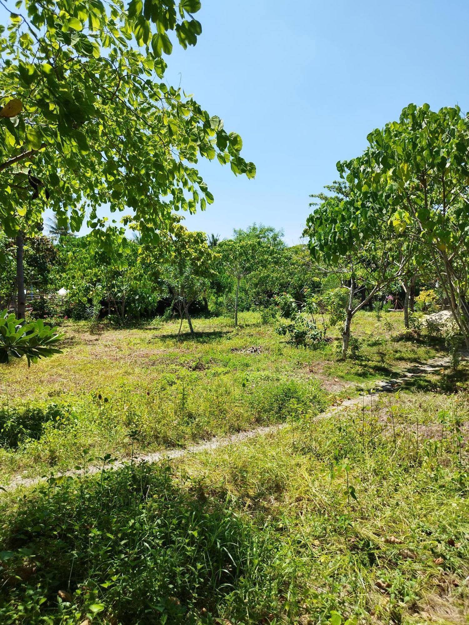 Celtis Resort Isola di Malapascua Esterno foto