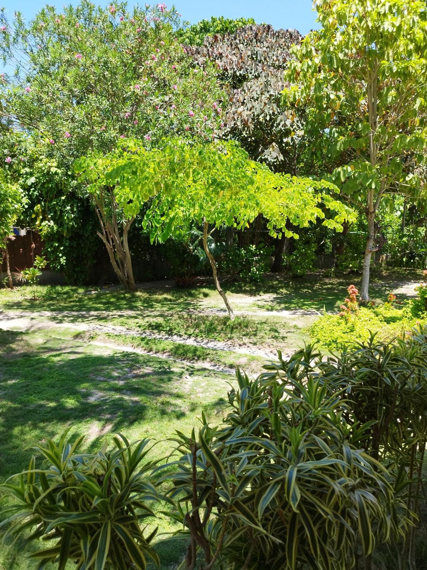 Celtis Resort Isola di Malapascua Esterno foto
